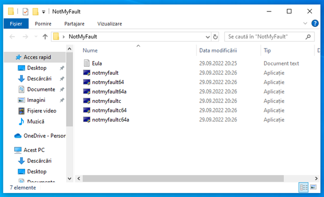 FiÈ™ierele executabile din arhiva NotMyFault
