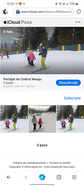 Cum aratÄƒ fotografiile partajate prin iCloud