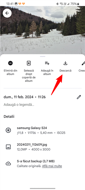 ApasÄƒ pe DescarcÄƒ pentru a salva fotografia Ã®n spaÈ›iul de stocare al telefonului