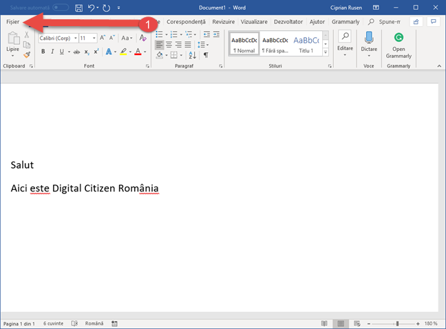 Fila Fișier în Microsoft Word