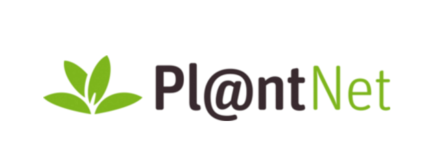 Recenzie Pl@ntNet - O aplicație colaborativă pentru identificarea plantelor cu smartphone-ul tău