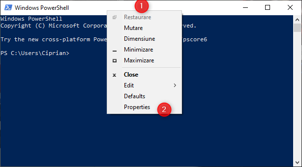 Mergi la PowerShell Properties