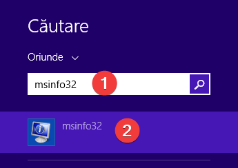 Caută msinfo32 în Windows 8.1