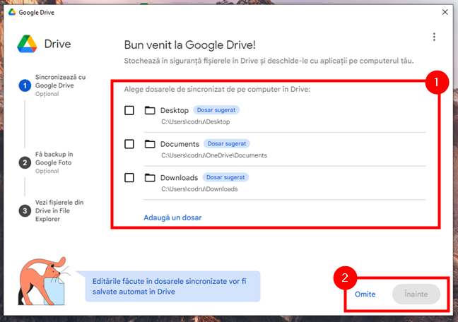 Alege folderele pe care sÄƒ le sincronizezi sau omite acest pas