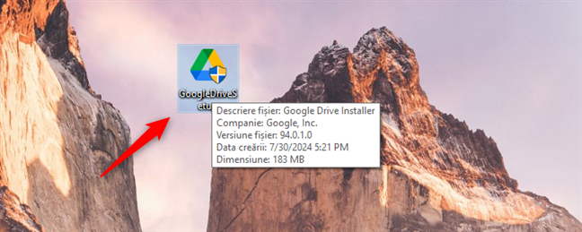 FiÈ™ierul de instalare GoogleDriveSetup.exe