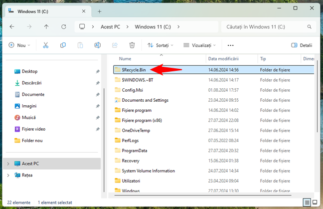 Calea cÄƒtre folderul $Recycle.Bin