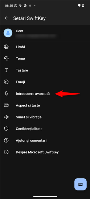 ApasÄƒ pe Introducere avansatÄƒ Ã®n SetÄƒri SwiftKey 