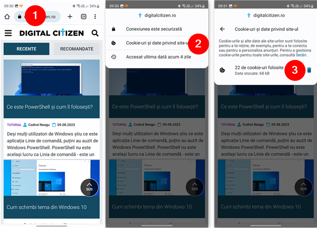 Cum verifici È™i È™tergi cookie-urile unui site web Ã®n Chrome pentru Android