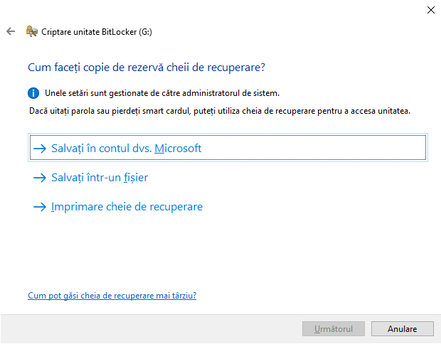 OpÈ›iunile pentru salvarea cheii de recuperare BitLocker
