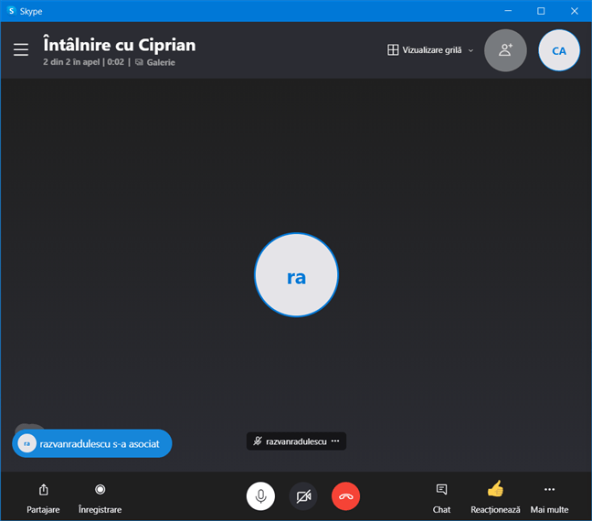 ÃŽntÃ¢lnire prin Skype È™i opÈ›iunile oferite