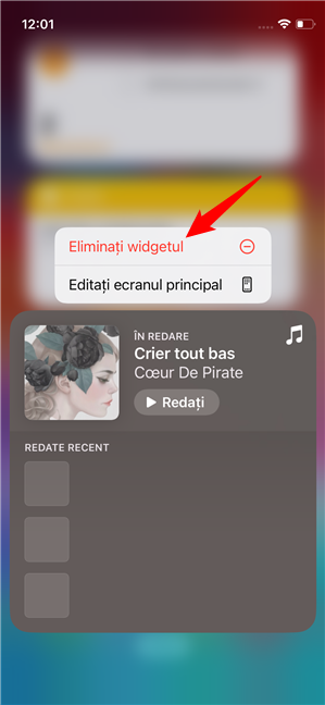 EliminaÈ›i widgetul Ã®n iOS 17