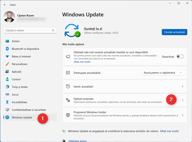 AcceseazÄƒ Windows Update > OpÈ›iuni avansate Ã®n SetÄƒrile din Windows 11