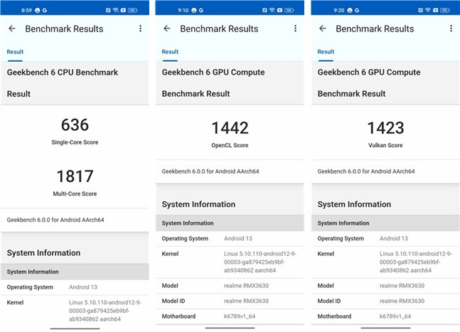 Rezultate Ã®n Geekbench 6