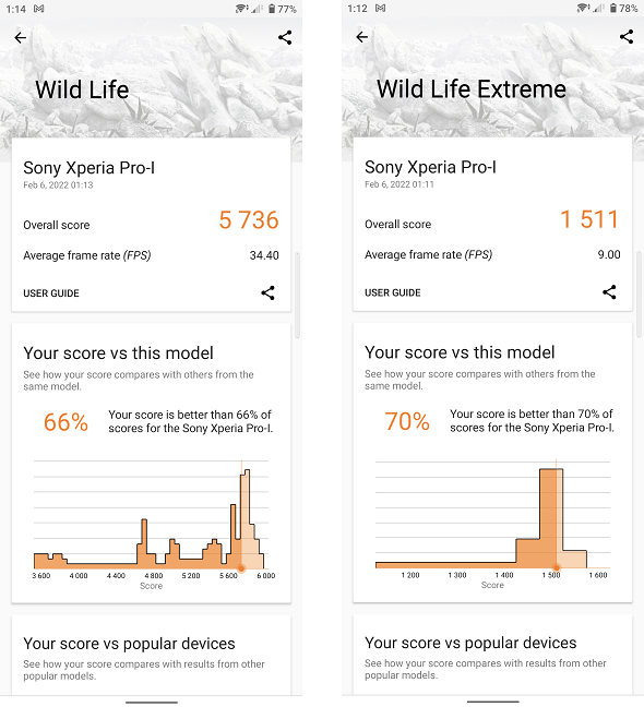 Rezultatele lui Sony Xperia PRO-I pentru suita 3DMark