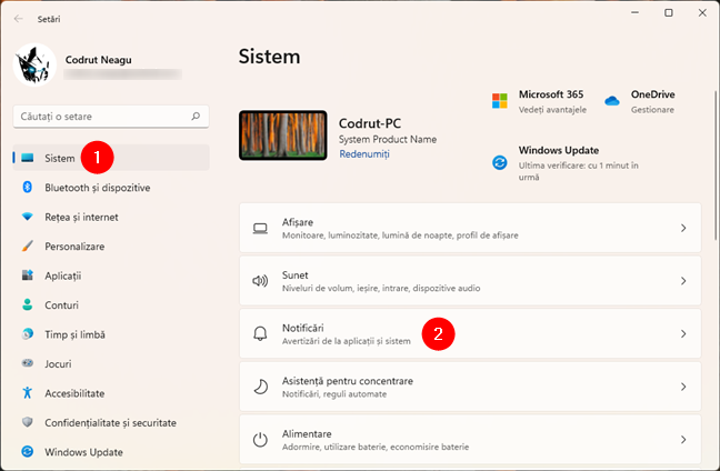 Deschide setÄƒrile pentru NotificÄƒri din Windows 11